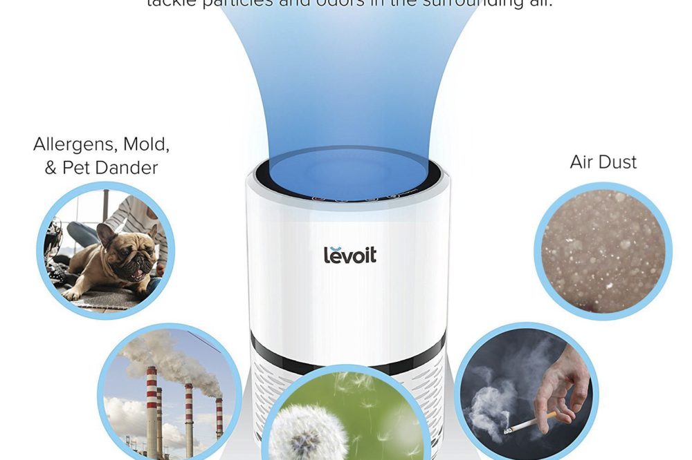 The Levoit LV-H132 Air Purifier