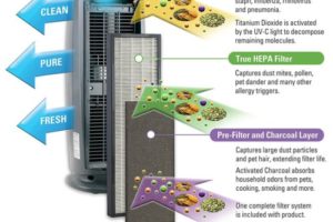 The Germ Guardian AC4825 Air Purifier Review
